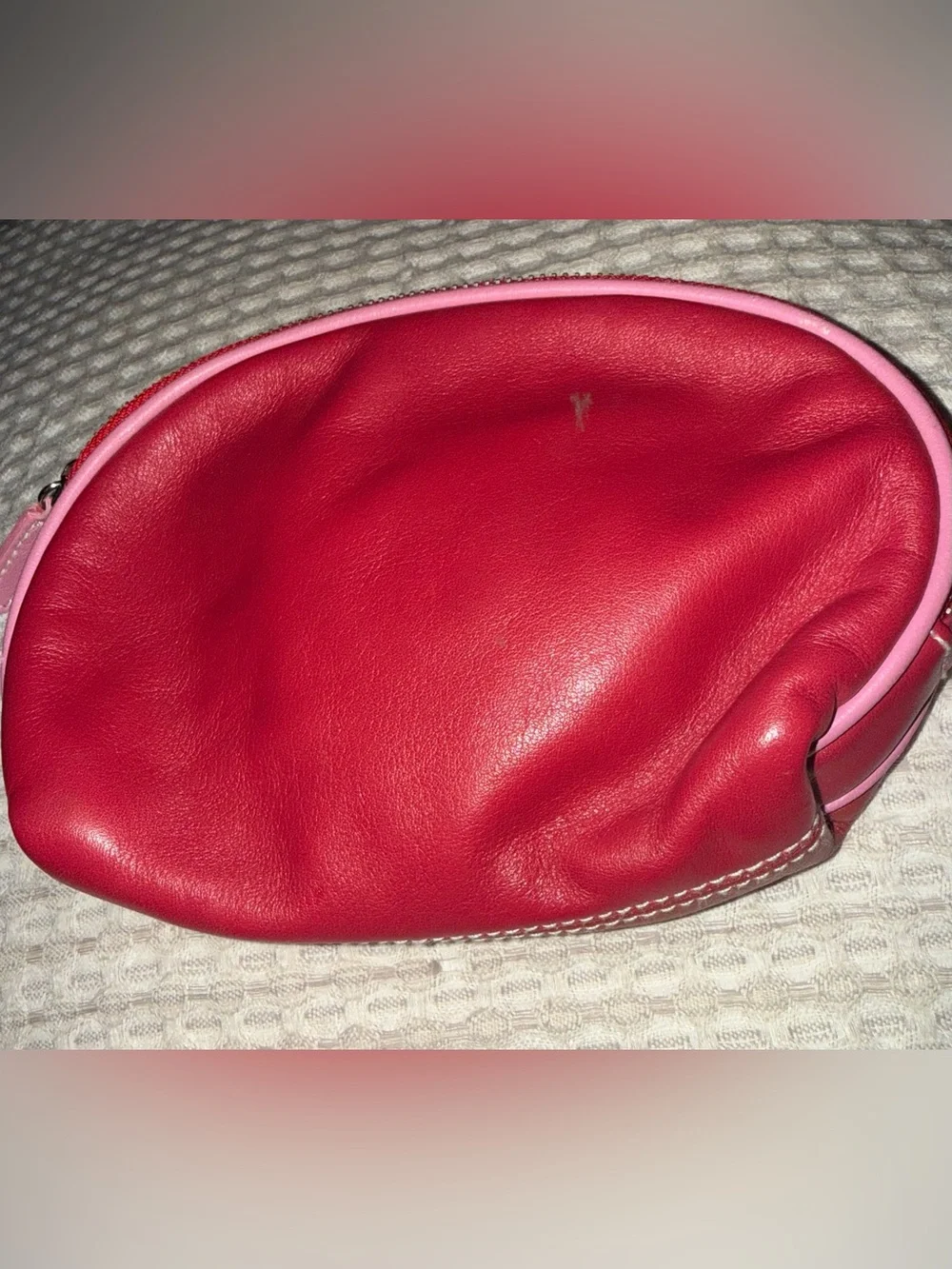 Vintage Y2K Isabella Fiore Pink Faux-Leather Cosmetic Pouch with Dog Graphic